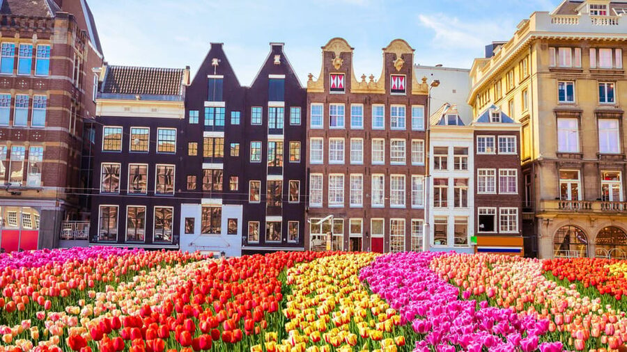 Amsterdam Walking Tour with a Local - What the guide adds beyond a map