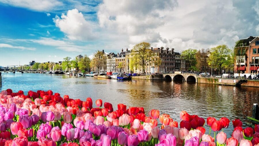 Amsterdam Walking Tour with a Local - Why the private format matters