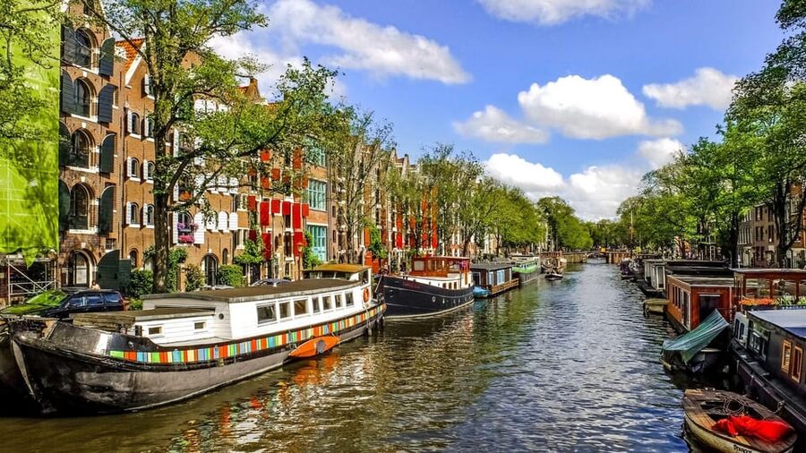 Amsterdam Walking Tour with a Local - Languages, comfort, and meeting details