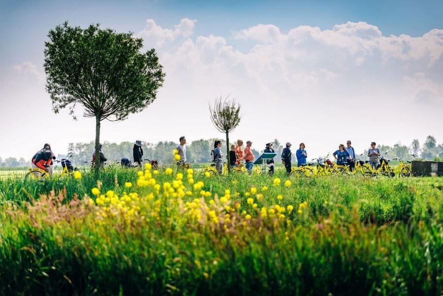 Amsterdam: Waterland District Countryside Villages Bike Tour - Should You Book It?
