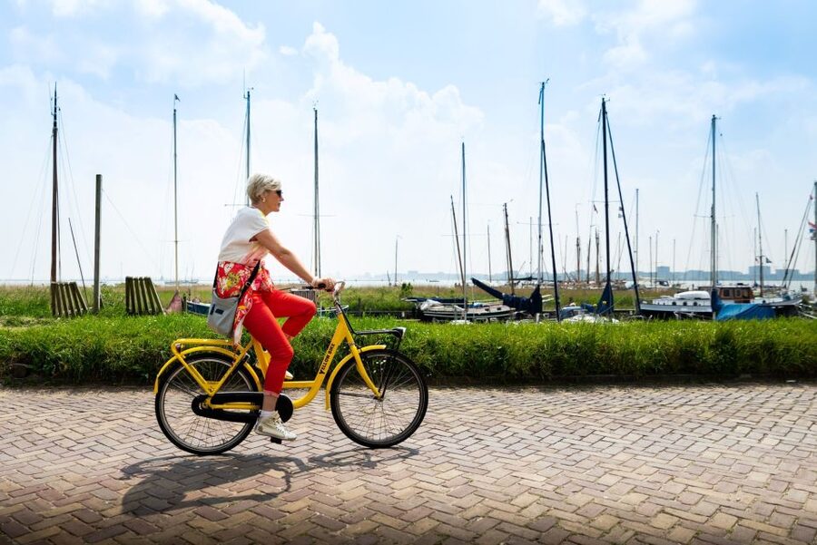 Amsterdam: Waterland District Countryside Villages Bike Tour - D’Admiraal Windmill and the First Open Views