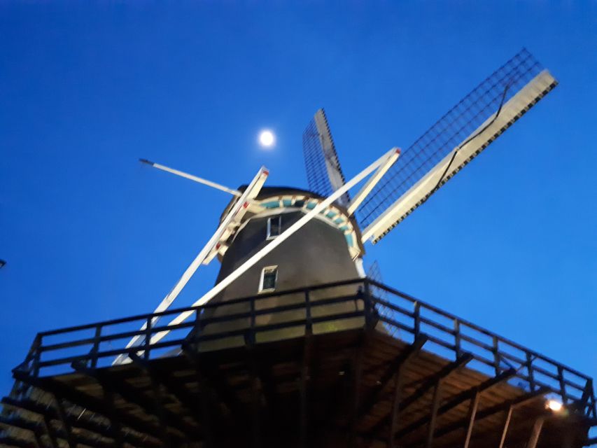 Amsterdam: Windmill Guided Tour - Who will enjoy this most