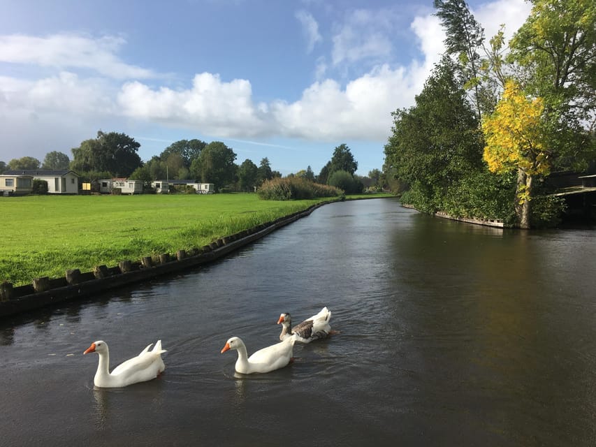 Amsterdam: Zaanse Schans and Giethoorn Day Trip with Cruise - What the $140 price really buys