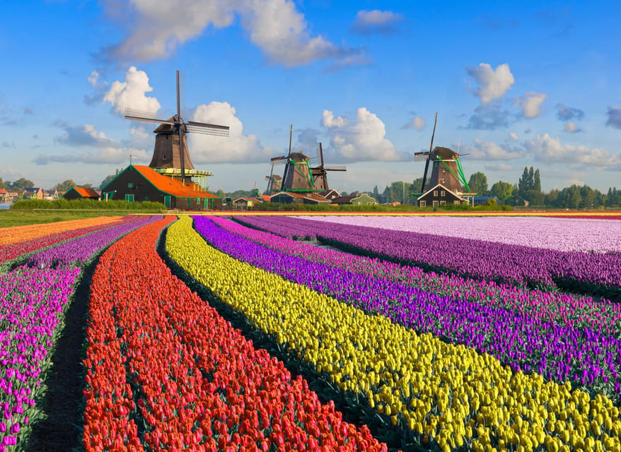 Amsterdam: Zaanse Schans, The Hague & Rotterdam Tour - One day, three versions of the Netherlands