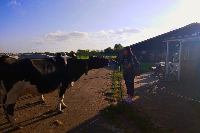 Best of Dutch Countryside: Giethoorn, Windmills, Secret Villages - What the small group changes