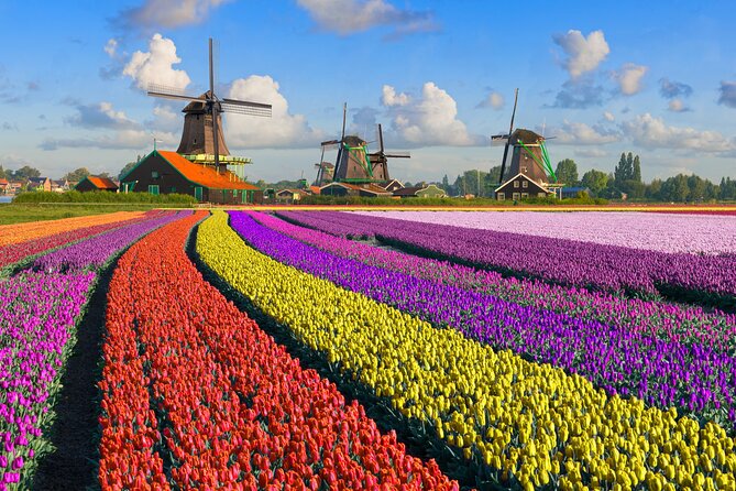 Best of Netherlands: Zaanse Schans Mills, The Hague & Rotterdam - Practical costs, timing, and cancellation