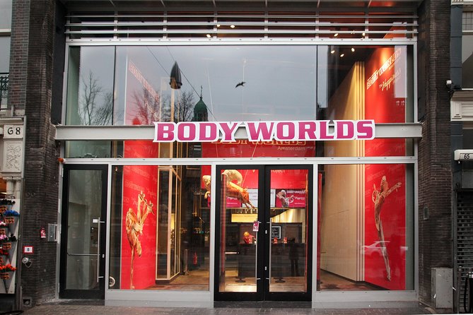 Body Worlds Amsterdam Admission Ticket - Is $27.21 good value?