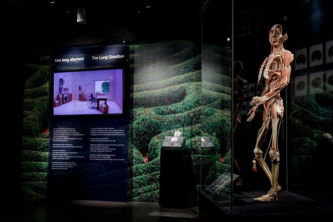 Body Worlds Amsterdam Admission Ticket - What the visit does especially well