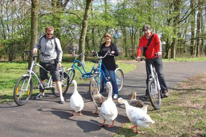 Cheese, Canals & Windmill Countryside E-Bike Tour Amsterdam - Group size, guides, and the value of personal attention