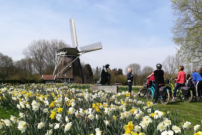 Countryside Bike Tour from Amsterdam: Cheese, Clogs & a Windmill - Choosing between the standard bike and the e-bike