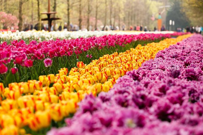 Day Trip to Keukenhof Gardens from Amsterdam with Tour Guide - The 9:00 am Departure From Central Amsterdam