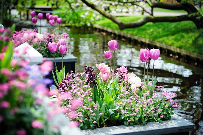 Day Trip to Keukenhof Gardens from Amsterdam with Tour Guide - Three Hours to Explore Keukenhof on Your Own
