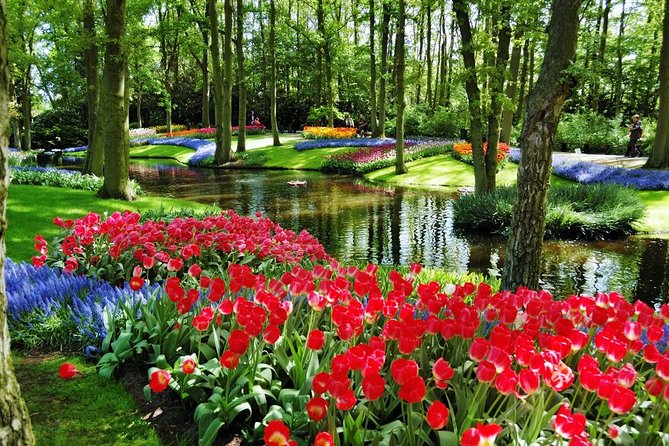 Day Trip to Keukenhof Gardens from Amsterdam with Tour Guide - Who Should Book This Half-Day Outing