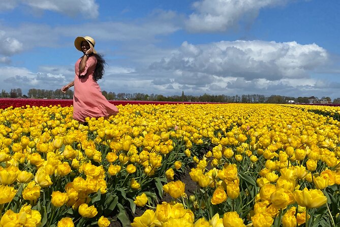 Discover Holland’s Beautiful Tulip Fields with an Expert Guide - Driving through the Beemster Polder