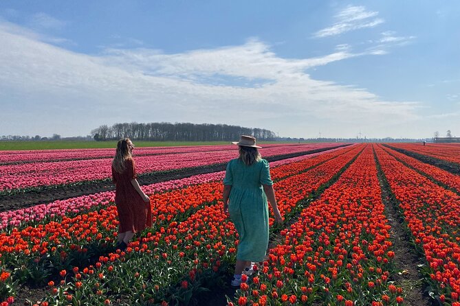 Discover Holland’s Beautiful Tulip Fields with an Expert Guide - What the guides add to the day