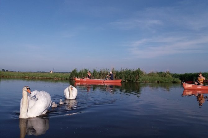 Fresh nose tour with the canoe through the nature near Amsterdam - What the guide adds to a quiet route