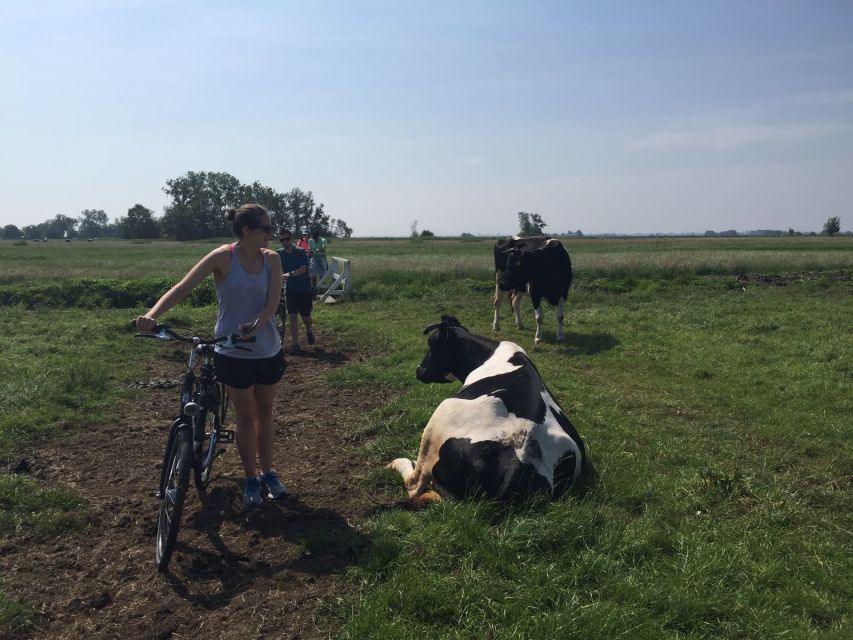 From Amsterdam: Countryside Bike Tour - Riding through Waterland by bike
