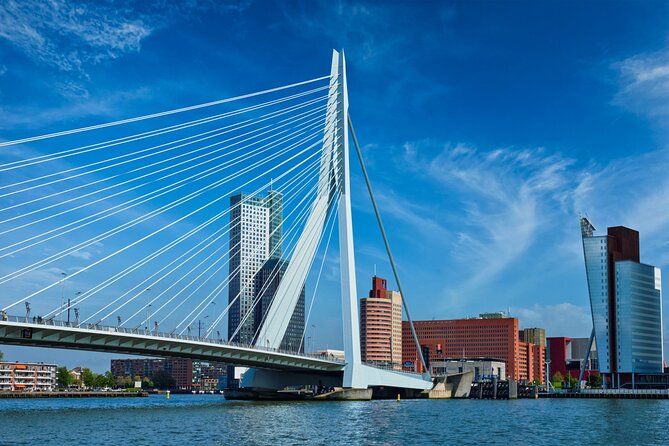 From Amsterdam: Day Trip to Rotterdam, Delft & Hague with Cruise - Is $162 a fair price?