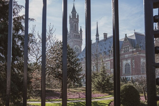 From Amsterdam: Day Trip to Rotterdam, Delft & Hague with Cruise - Group size, weather, and cancellation concerns