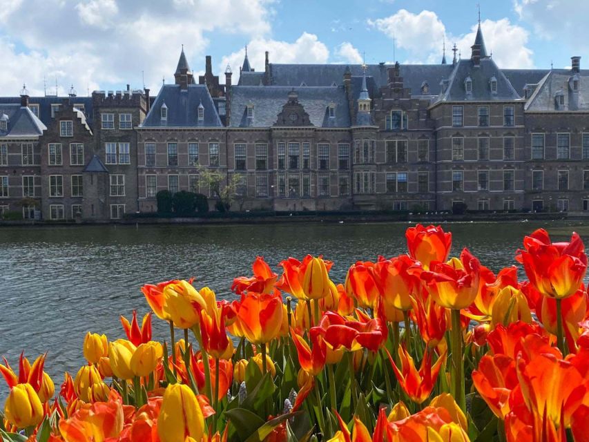 From Amsterdam: Guided Trip to Rotterdam, Delft & The Hague - Three Dutch cities, three very different moods