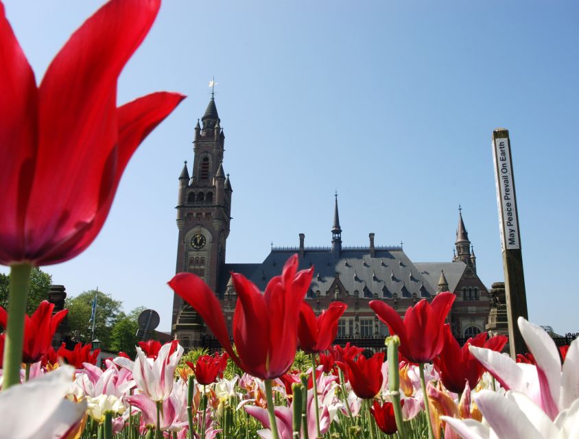From Amsterdam: Guided Trip to Rotterdam, Delft & The Hague - Rotterdam: architecture after a city rebuilt