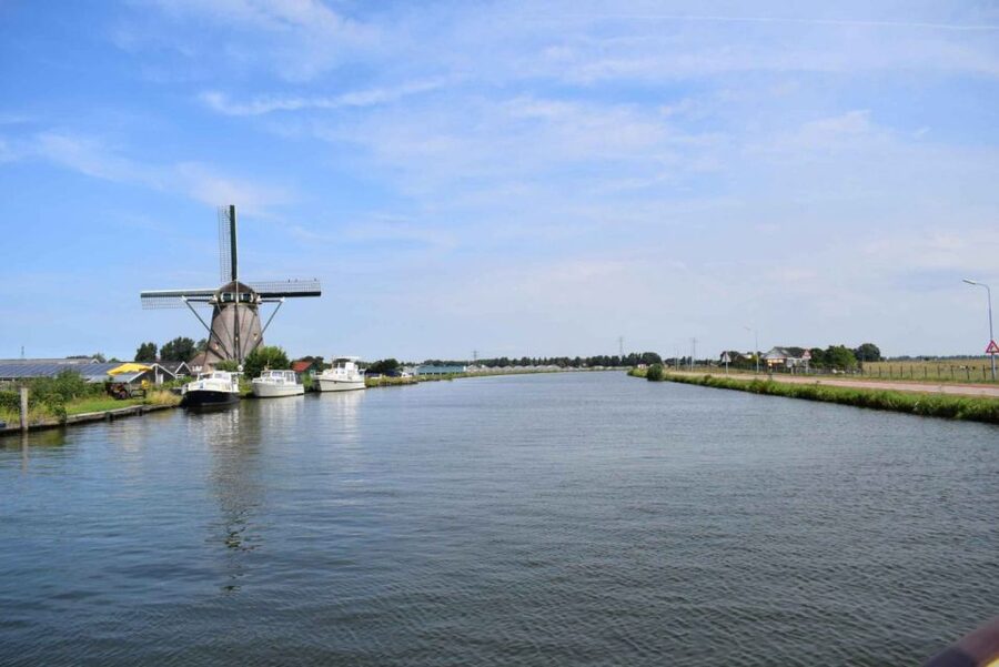 From Amsterdam: Holland Flower and Windmill Tour - summer ed - Why the summer flower region is worth the trip