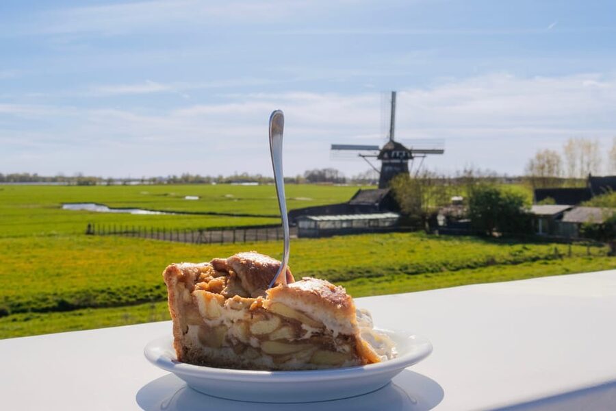 From Amsterdam: Holland Flower and Windmill Tour - summer ed - Should you book the Holland Flower and Windmill Tour?