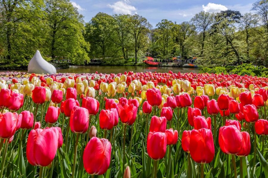 From Amsterdam: Keukenhof and Dutch Countryside Tour - Why this tour covers so much of the Netherlands
