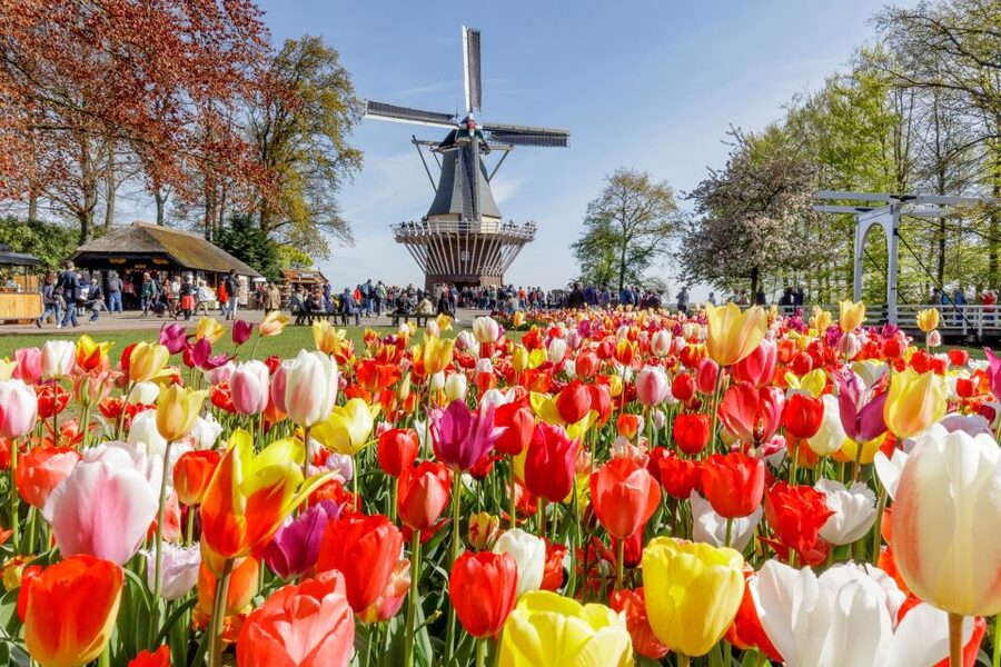 From Amsterdam: Keukenhof and Dutch Countryside Tour - Wooden shoes and Dutch craft traditions