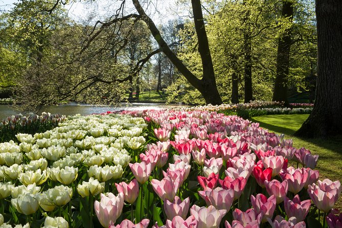 From Amsterdam: Keukenhof Gardens Ticket and Transfer - The return bus deserves careful attention