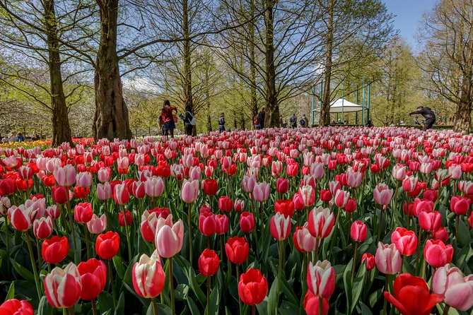 From Amsterdam: Keukenhof Gardens Ticket and Transfer - The optional audio guide and canal cruise