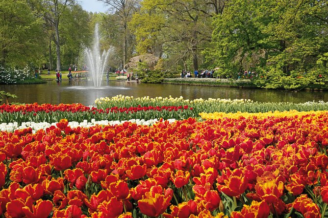 From Amsterdam: Keukenhof Gardens Ticket and Transfer - Who will enjoy this outing most
