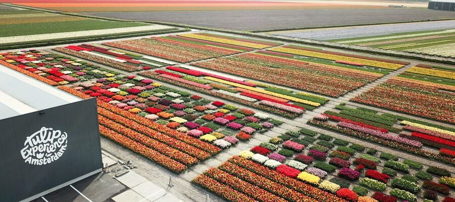 From Amsterdam: Keukenhof Gardens & Tulip Experience Tour - Practical details that can save you trouble