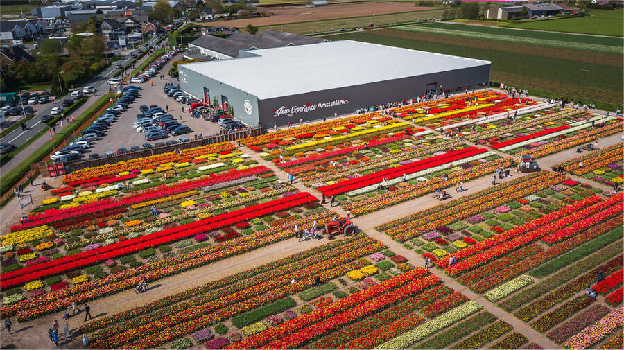 From Amsterdam: Keukenhof Gardens & Tulip Experience Tour - What to do with your three hours at Keukenhof
