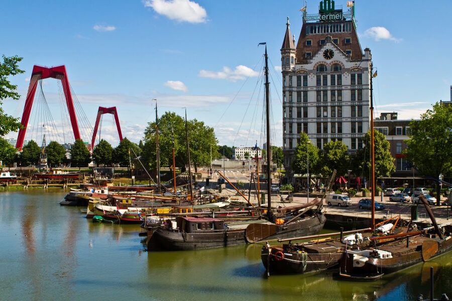 From Amsterdam: Rotterdam and The Hague Tour in Spanish - Spanish guiding and the human side of the day