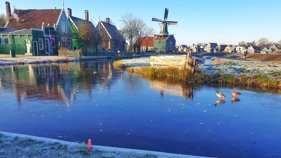 From Amsterdam: Small Group Zaanse Schans and Volendam Tour - Should you book it?