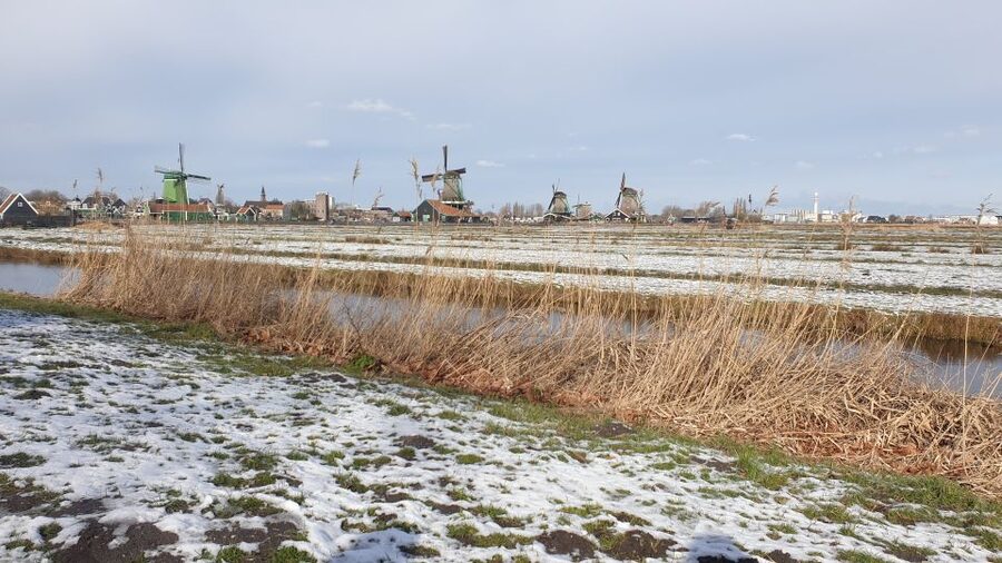 From Amsterdam: Small Group Zaanse Schans and Volendam Tour - Why this half-day gets you beyond Amsterdam