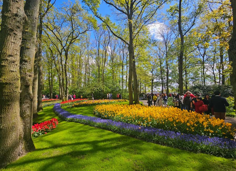 From Amsterdam: Tulip Tour Keukenhof & City Tour Delft - What two hours at Keukenhof really gives you
