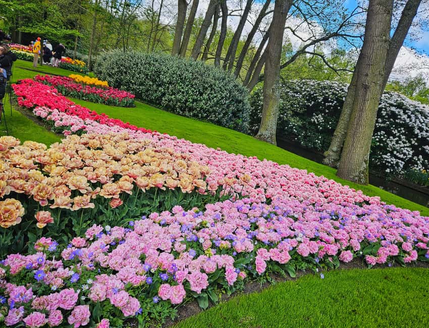 From Amsterdam: Tulip Tour Keukenhof & City Tour Delft - The ride to Delft and the pottery stop