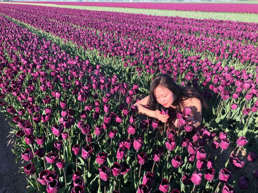 From Amsterdam: Tulip Tour Keukenhof & City Tour Delft - Walking through medieval Delft