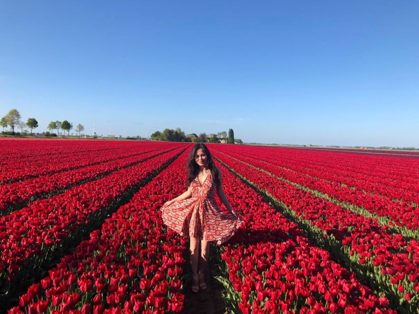 From Amsterdam: Tulip Tour Keukenhof & City Tour Delft - Is $169 a fair price?
