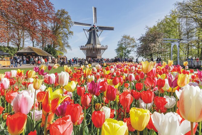 Full-Day Skip the Line Keukenhof and Canal Cruise from Amsterdam - Key points to know before booking