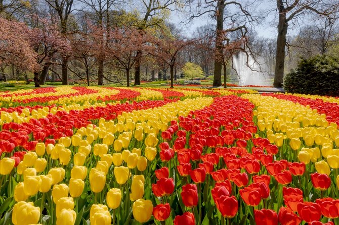 Full-Day Skip the Line Keukenhof and Canal Cruise from Amsterdam - Seven million bulbs at Keukenhof
