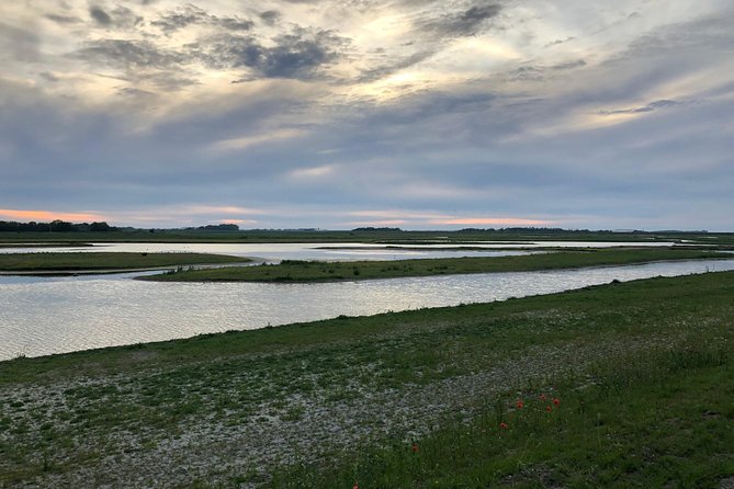 Full day tour to Texel - Friesian Islands - from Amsterdam - Choosing the optional seal safari