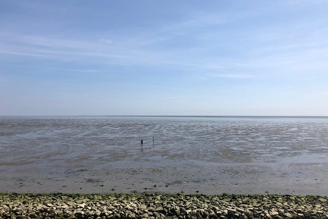 Full day tour to Texel - Friesian Islands - from Amsterdam - Food, drinks, and the real value of the price