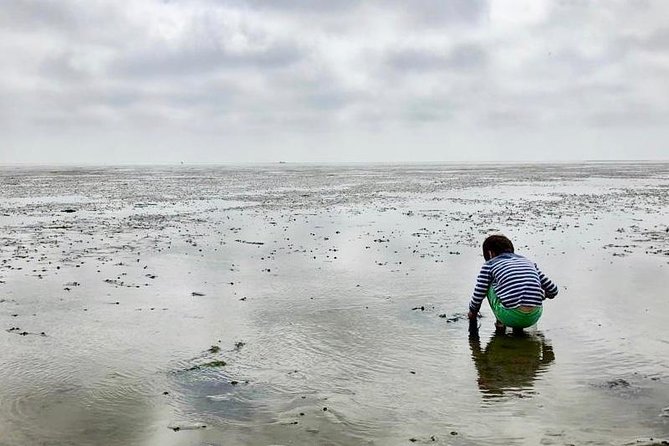 Full day tour to Texel - Friesian Islands - from Amsterdam - What the weather and tide can change