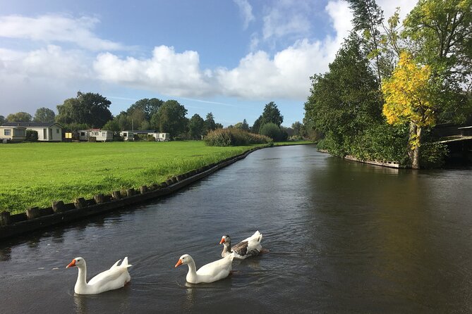 Giethoorn and Zaanse Schans Day Tour Small Group Incl. Boat Ride - Giethoorn: canals, bridges, and the Bovenwijde