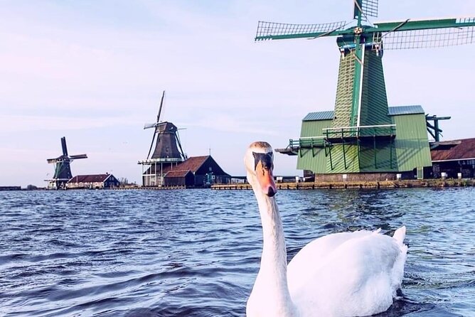 Giethoorn, Private Boat Tour & Zaanse Schans Windmills - Timing, pickup, and the cost