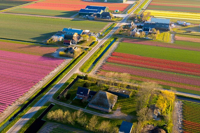 Guided Bike Tour along the Dutch Tulip Fields in Noord Holland - Key points before you book