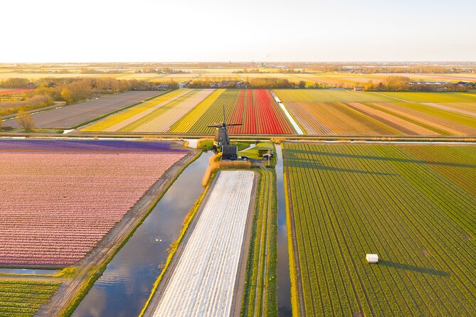 Guided Bike Tour along the Dutch Tulip Fields in Noord Holland - Why this ride feels different from a flower park